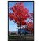 11 by 17 Picture Frame without Mat to Display picture 11x17 Wall Mounting Document Certificate Frames If Add Mat Can As 11x14 10x14 9x15 10x12 Picture Frame 11x17